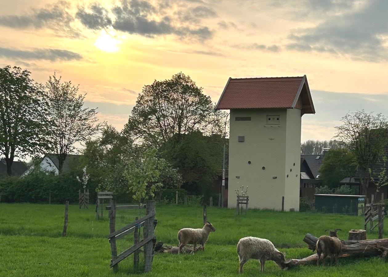 On the 15th of April 2024, in the Hesseln suburb of Halle, Nor - Bild 3